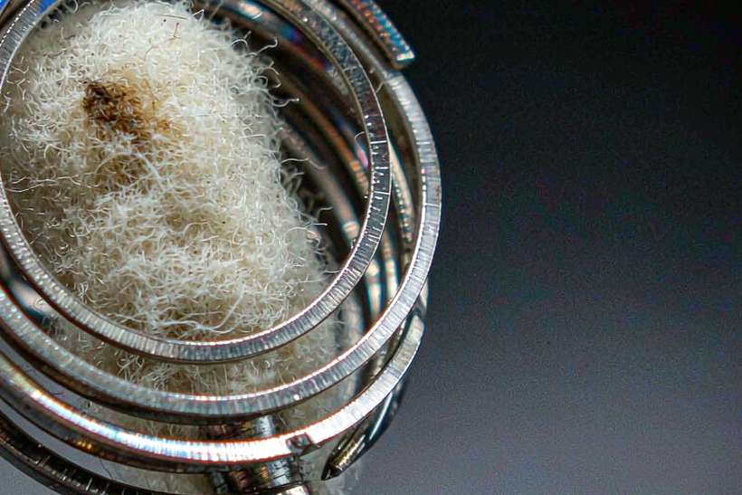 Case Study: VapeCon accessories — EU stock