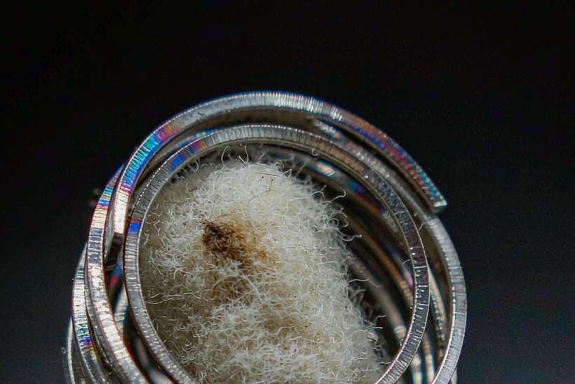 Case Study: VapeCon disposables — container load