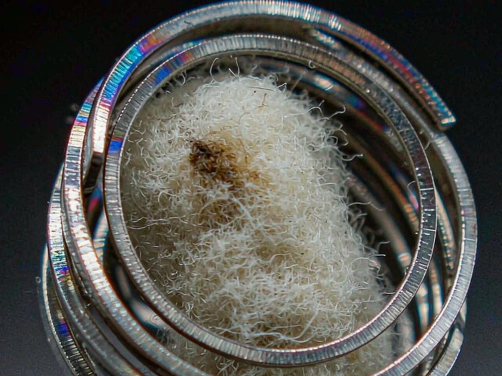 Comparison of VapeCon in Brussels Suppliers — no minimum MOQ