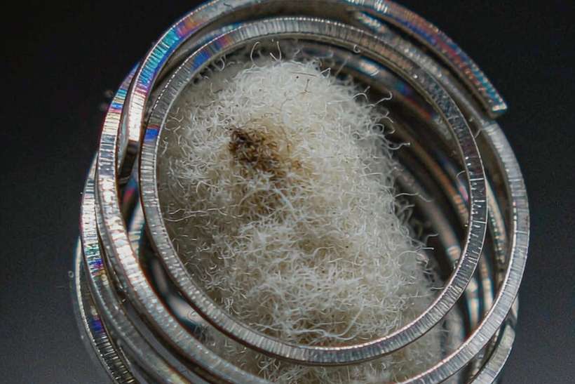 Flavor Catalog of VapeCon hardware — limited batch