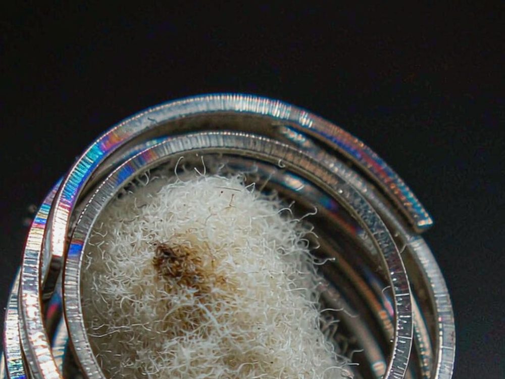 Glossary of VapeCon in Brussels — top rated