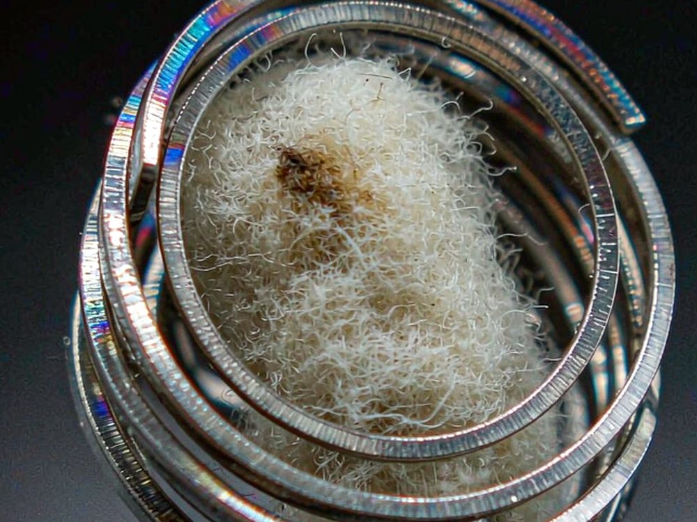 Glossary of VapeCon products in Brussels — budget tier