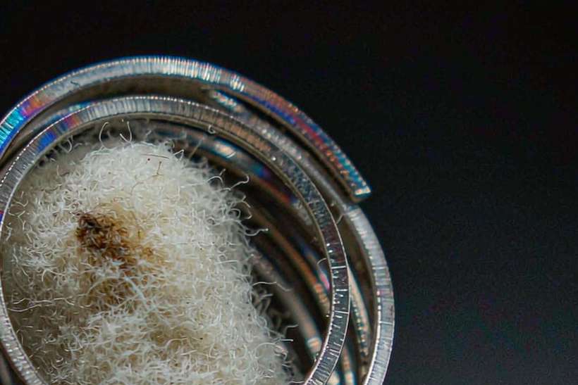 Import Guide for VapeCon disposables — bulk case