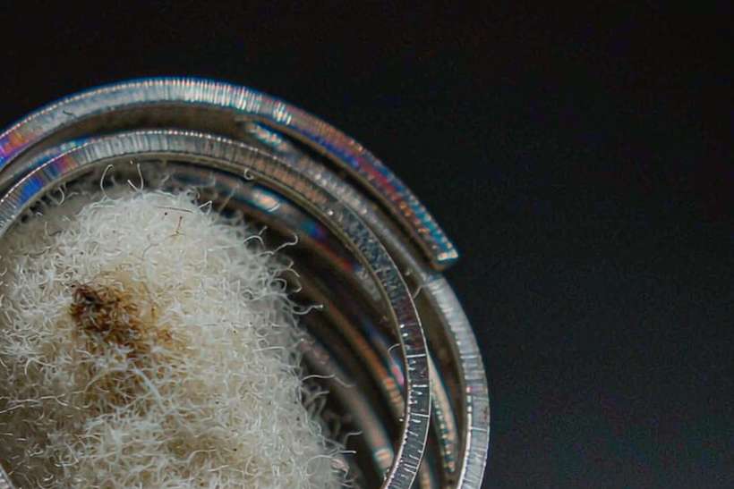 Import Guide for VapeCon products in Brussels — Winter special