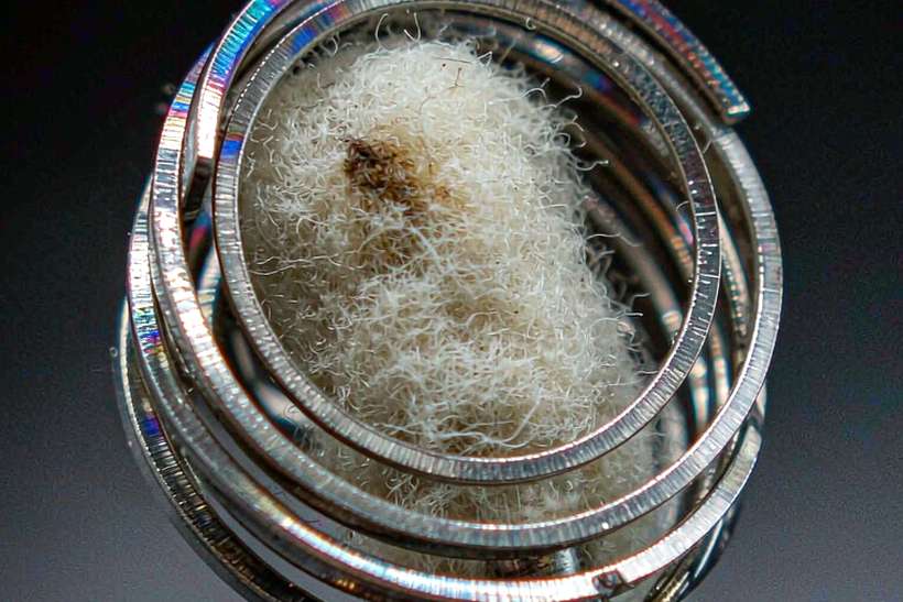 MOQ and Lead Time for VapeCon disposables — Middle East