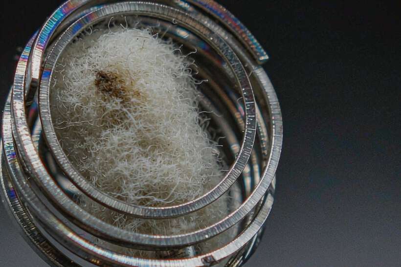 OEM and ODM Options for VapeCon hardware — Summer deals