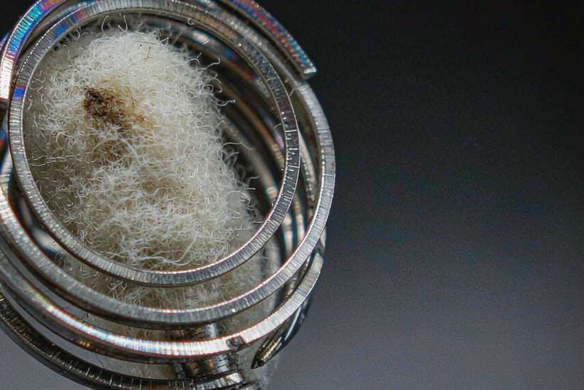OEM and ODM Options for VapeCon products in Brussels — limited batch