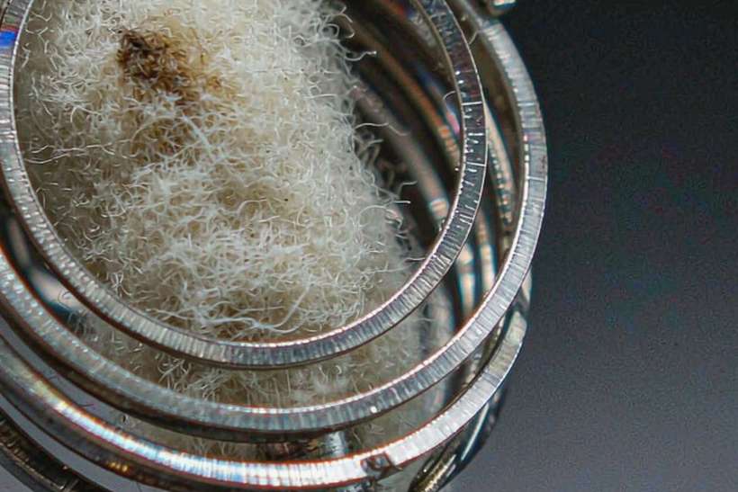 Regional Review of VapeCon disposables — Asia Pacific