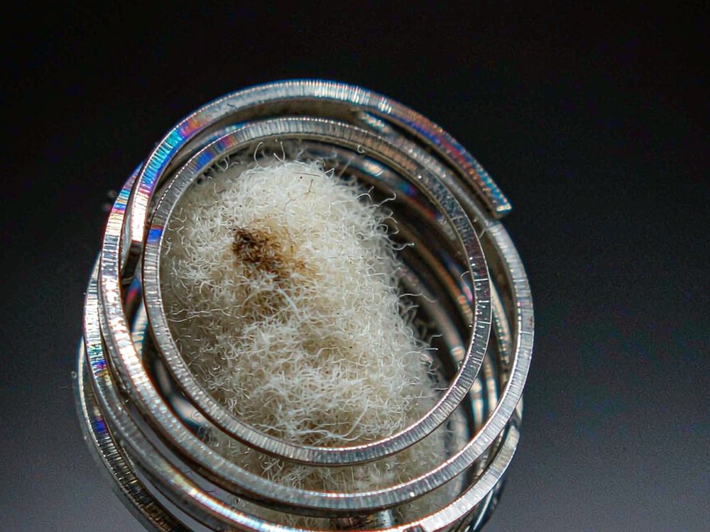 Regional Review of VapeCon in Brussels — bulk case