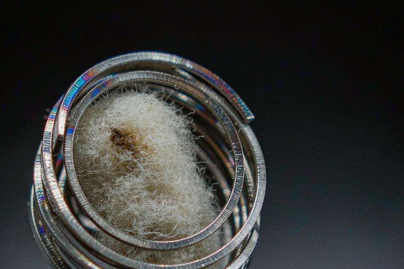 Regional Review of VapeCon in Brussels — ODM ready