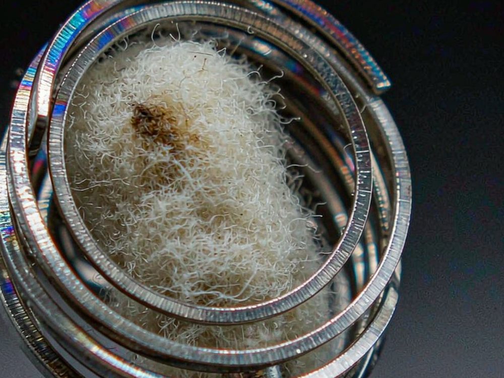 Shipping Guide for VapeCon products in Brussels — wholesale only