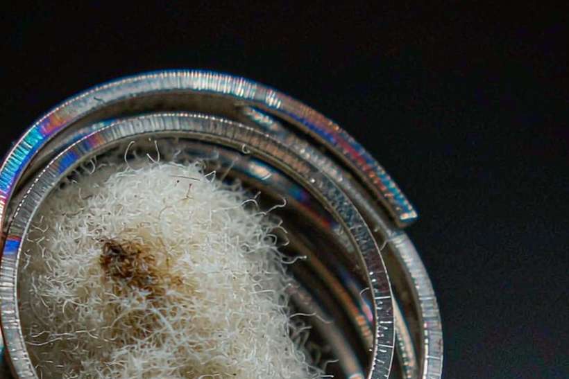Sourcing Report on VapeCon bundles — Autumn stock