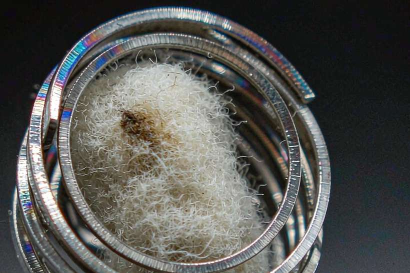 Trend Report on VapeCon disposables — limited batch