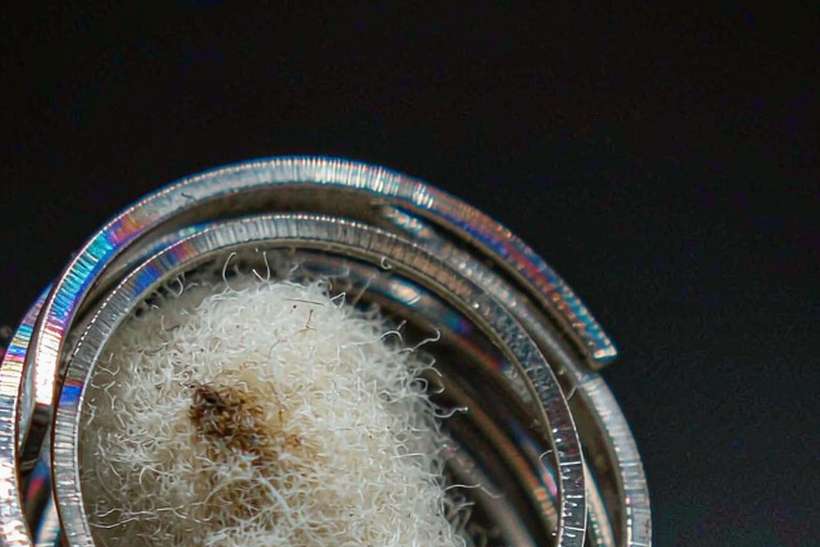 Trend Report on VapeCon in Brussels — small parcel